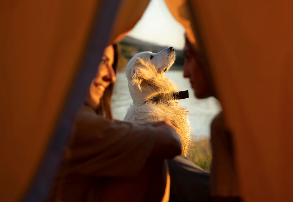 lightweight tipi tents