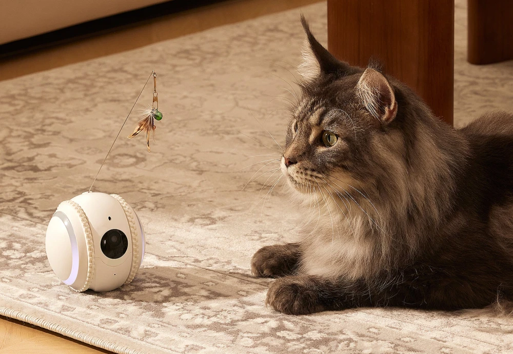 moving pet camera