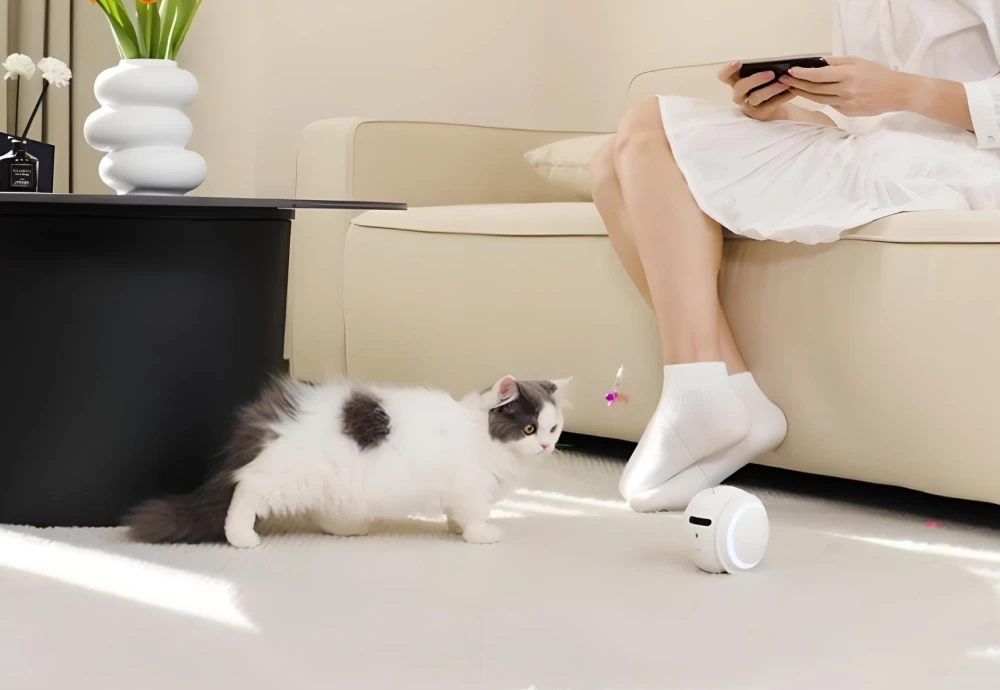 interactive pet camera for cats