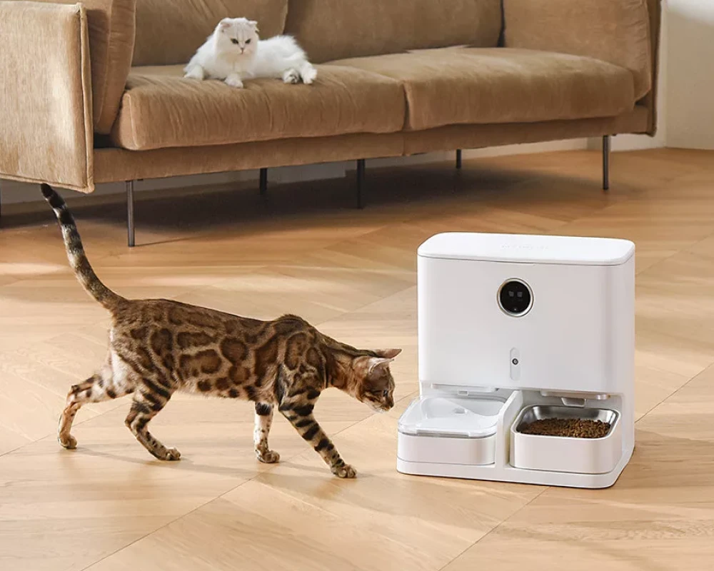 pet automatic water feeder