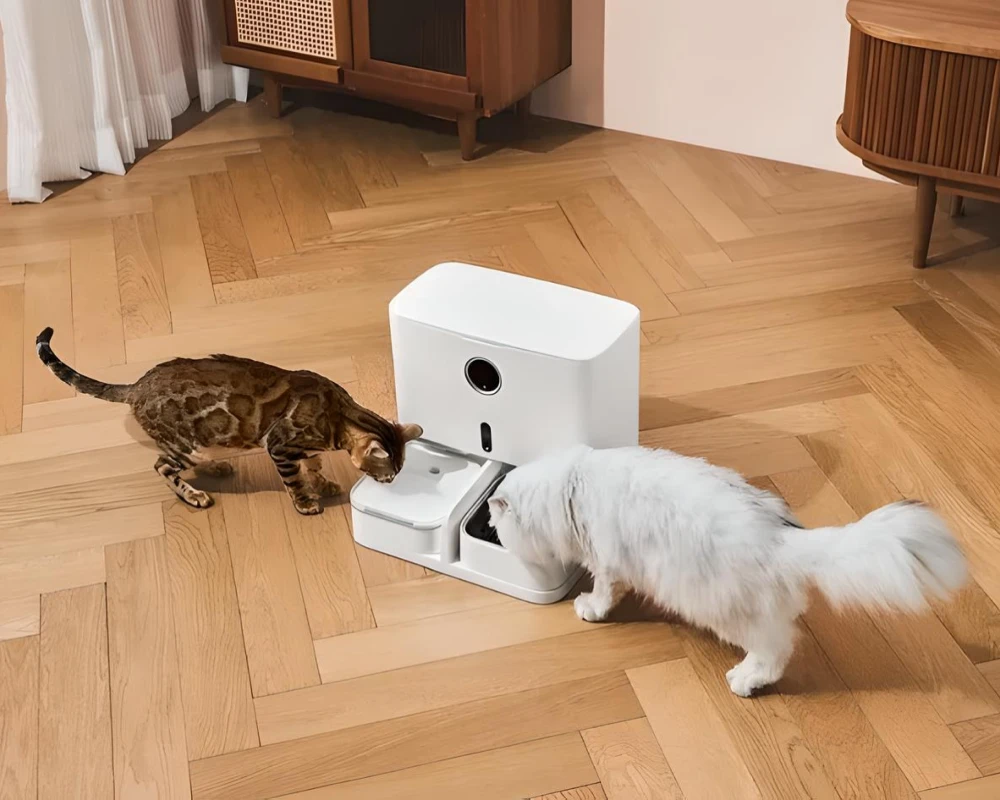 automatic pet feeder