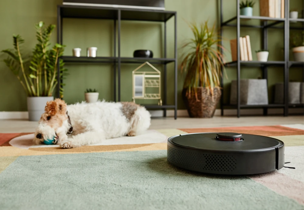 robot vacuum cleaner with mop